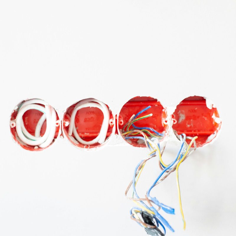 pexels-lamiko-3615732